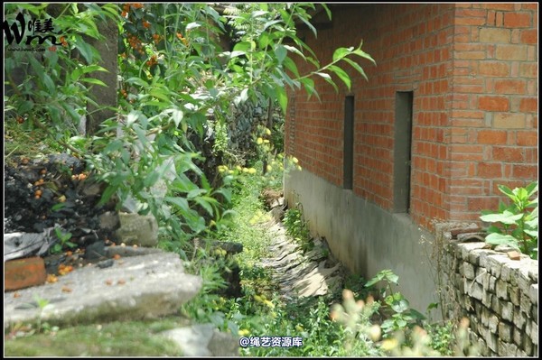 唯美之家 - 武当山之行-山脚匪事1 第 350 张图片