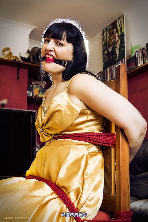 limitedaudience - 2013 dynamo golden satin 第 6 张图片