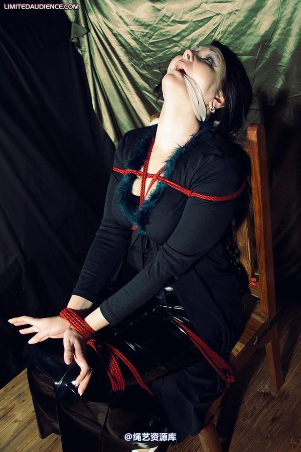 limitedaudience - 2010 deception helpless prisoner 2 第 3 张图片