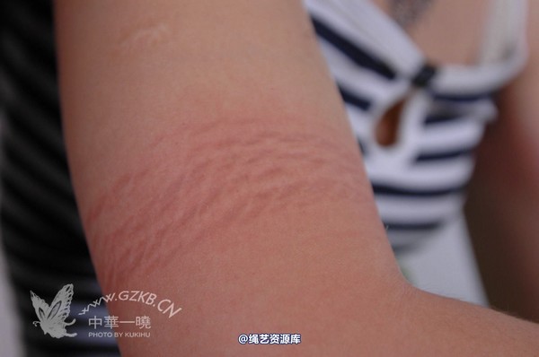 中华一晓 - 中华一晓 NO.0472 第 97 张图片