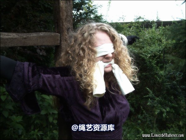 limitedaudience - 2007 ivy and the cross 第 68 张图片
