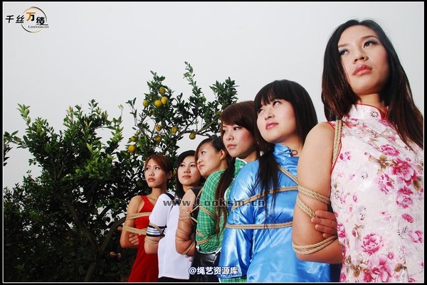 千丝万缕 - 2007-10-27日照片 第 68 张图片