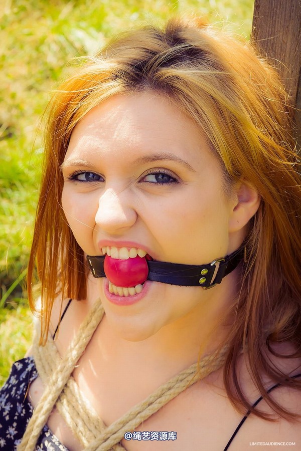 limitedaudience - 2014 bryony fuller out in the grass 第 34 张图片