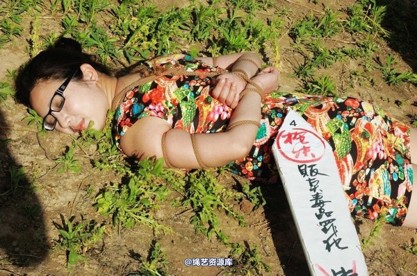 mj影视 - 紫云的末日紫云2-2013-05-23 第 252 张图片