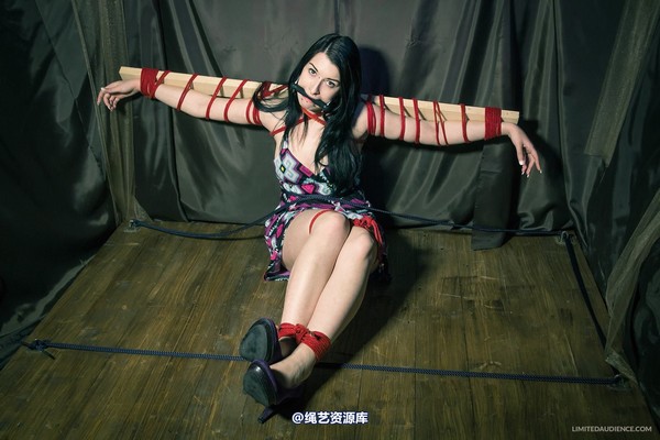 limitedaudience - 2013 stacey von time challenge 2 第 33 张图片