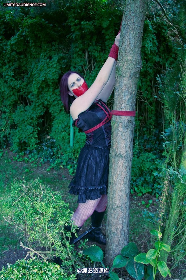 limitedaudience - 2011 carmina and the tree 3 第 15 张图片