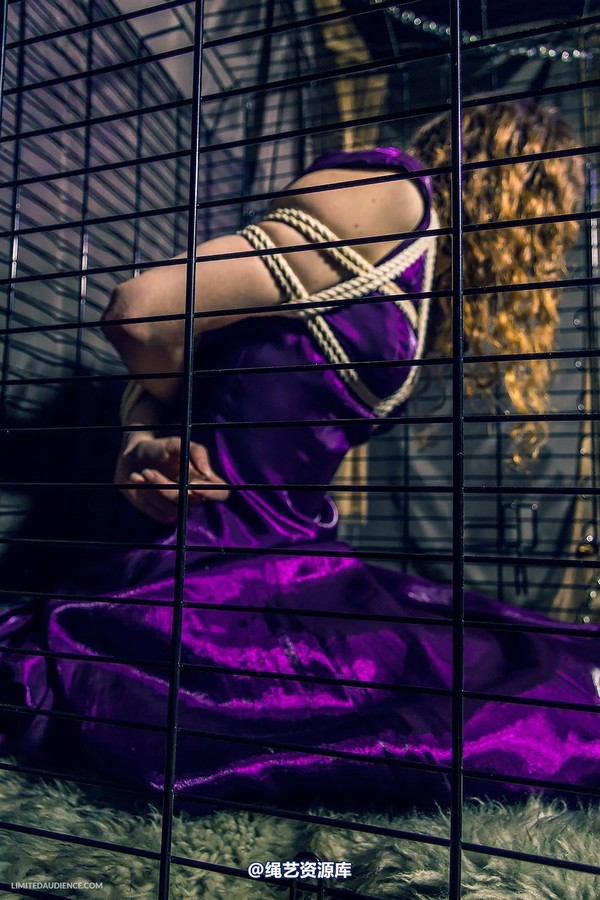 limitedaudience - 2014 fay inside the cage 第 5 张图片