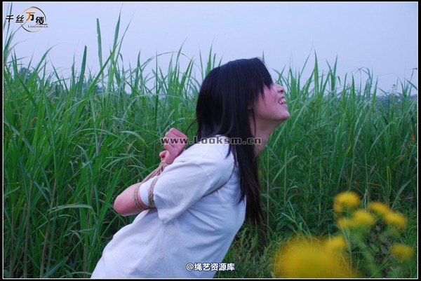 千丝万缕 - 2008-04-29-4日 第 88 张图片