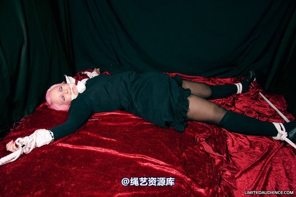 limitedaudience - 2009 assisted suicide internet date 第 50 张图片