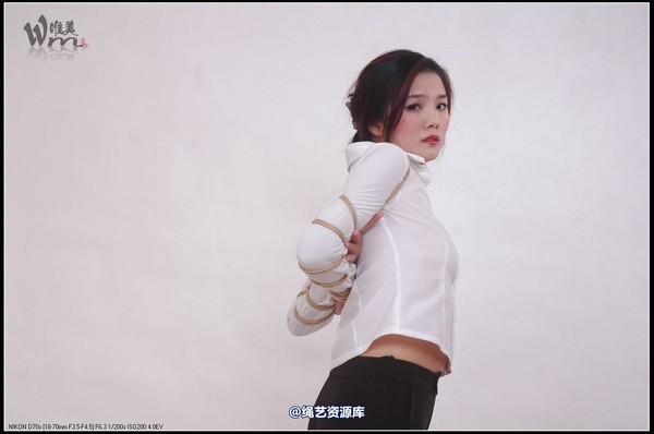 唯美之家 - 2008-11-3青竹无花 第 77 张图片