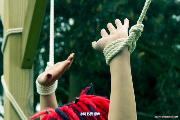 limitedaudience - 2012 andromedax offered up 第 29 张图片