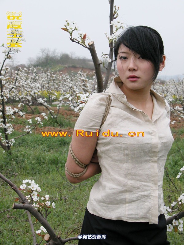 锐度主张 - 婷婷和寒冰梨花林中 第 28 张图片