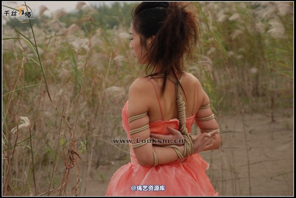 千丝万缕 - 2007-10-11日照片 第 22 张图片