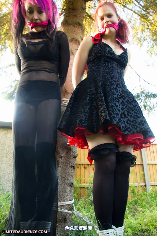 limitedaudience - 2011 beckykat loltaru moored to tree 2 第 9 张图片