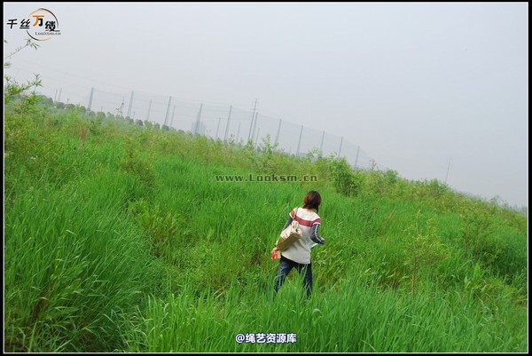 千丝万缕 - 2008-04-06日照片 第 35 张图片