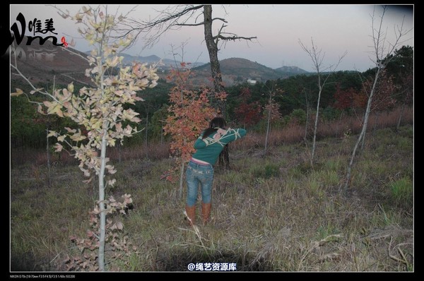 唯美之家 - 2008-11-27萧雅 第 229 张图片