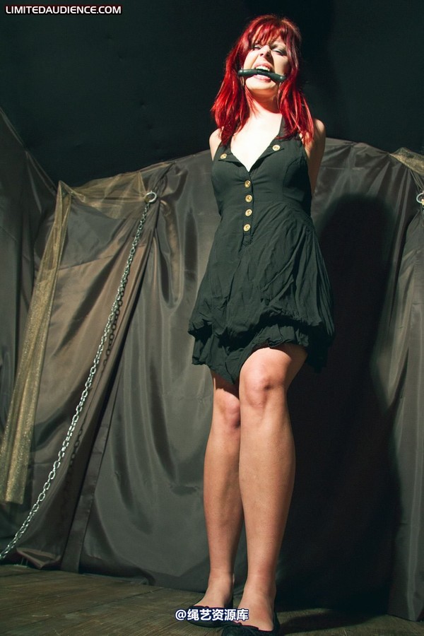 limitedaudience - 2011 scarlett bound and imprisoned 第 21 张图片