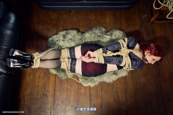limitedaudience - 2012 syrah lee hogtied 第 32 张图片