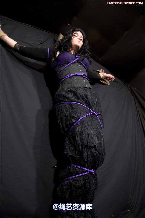 limitedaudience - 2008 veriddian hoissy 第 6 张图片