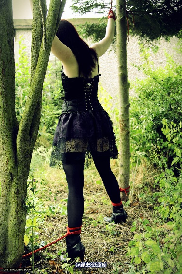 limitedaudience - 2013 syrah lee helpless outdoors 2 第 23 张图片