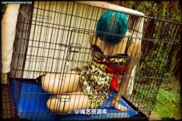 limitedaudience - 2009 b caged animal 第 7 张图片