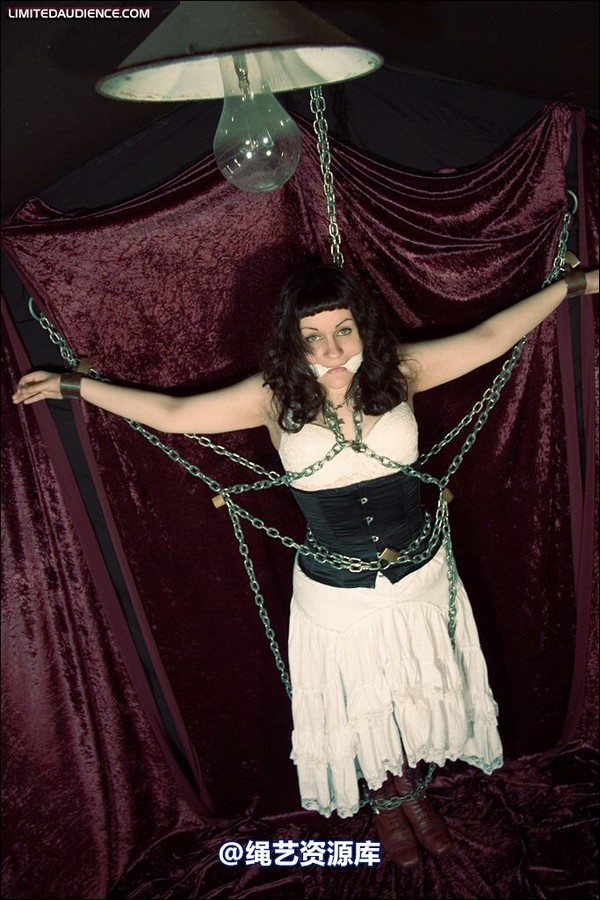 limitedaudience - 2008 veriddian chains on velvet 第 17 张图片