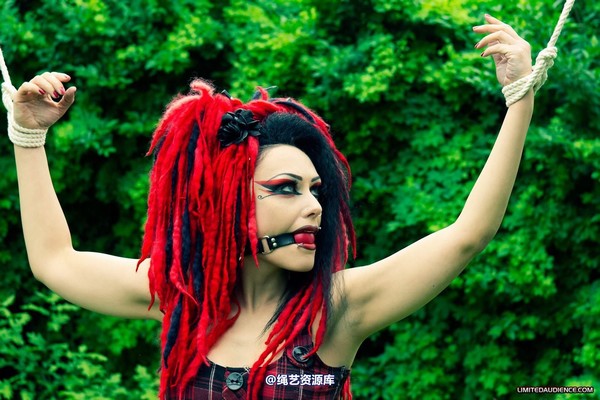 limitedaudience - 2012 andromedax offered up 第 10 张图片