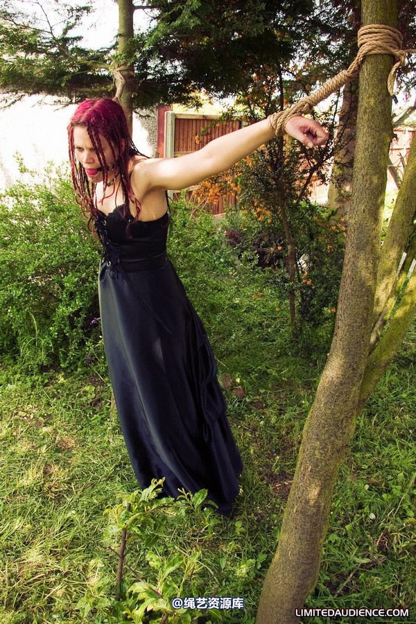 limitedaudience - 2010 beckykat between trees 第 22 张图片