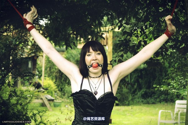limitedaudience - 2011 syrah lee helpless outdoors 第 2 张图片