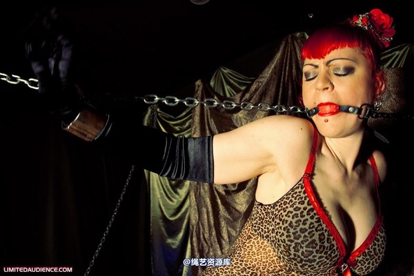 limitedaudience - 2010 raevan captured huntress 2 第 13 张图片