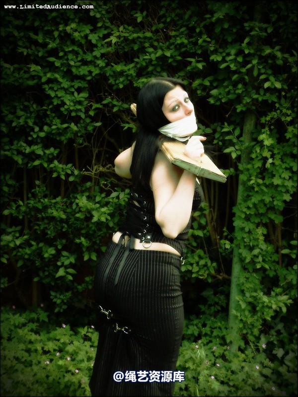 limitedaudience - 2007 asphyxia silenced secretary 第 37 张图片