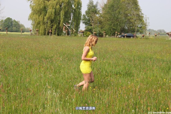 boundlife - bl505 第 6 张图片