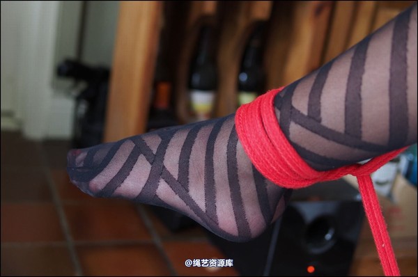 simplytied - Missy Minx chair tied 第 22 张图片