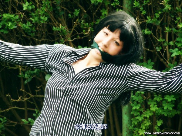 limitedaudience - 2007 nattsuko spread between trees 第 27 张图片