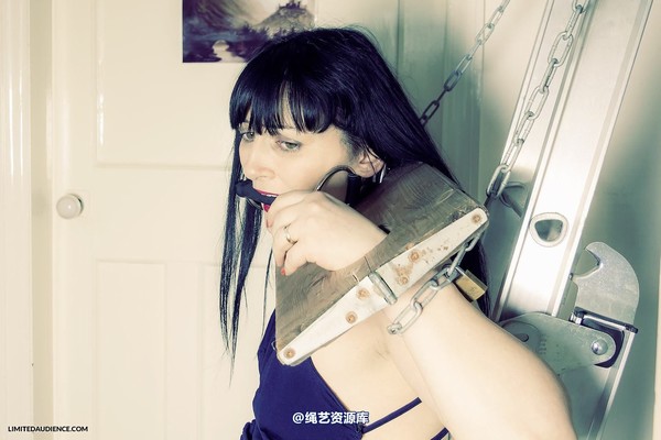 limitedaudience - 2013 dynamo stock 第 4 张图片