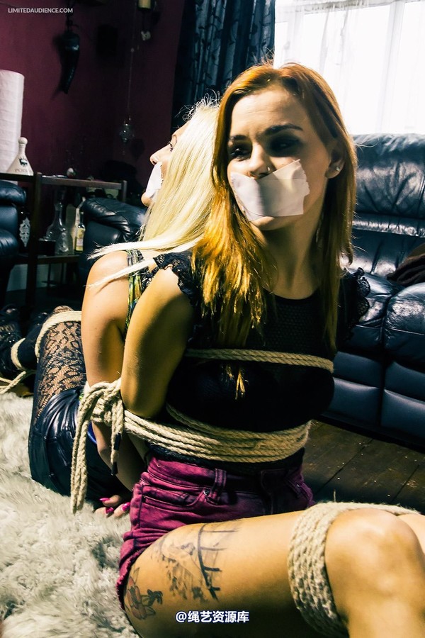 limitedaudience - 2014 altsiren elyssia back to back 第 16 张图片