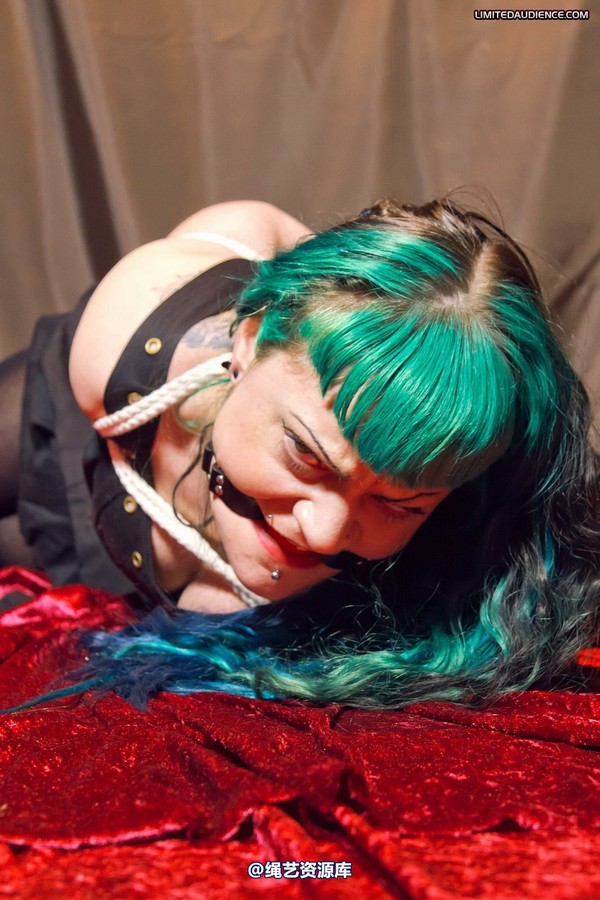 limitedaudience - 2012 raevan hogtied 第 21 张图片