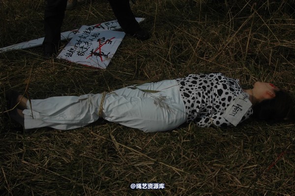 mj影视 - 血泪控诉刑场 第 315 张图片