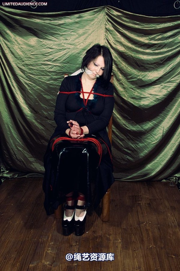 limitedaudience - 2009 deception helpless prisoner 第 23 张图片