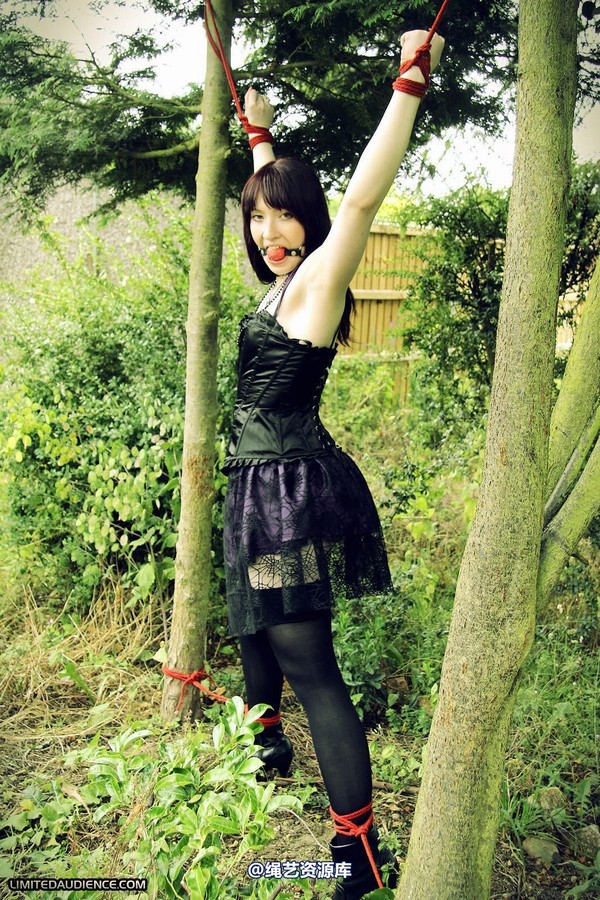 limitedaudience - 2011 syrah lee helpless outdoors 第 17 张图片