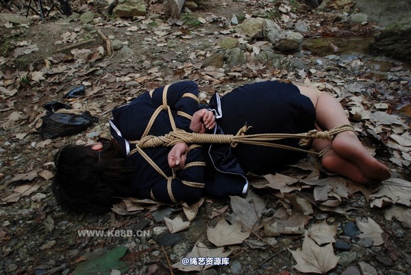 千丝万缕 - 20081110 第 15 张图片