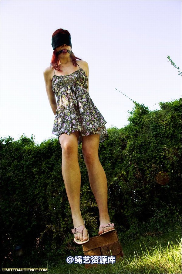 limitedaudience - 2008 scarlett blind balancing act 第 8 张图片