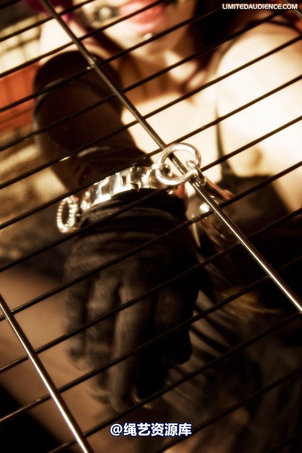 limitedaudience - 2009 catya raevan alptraum part iii 第 2 张图片