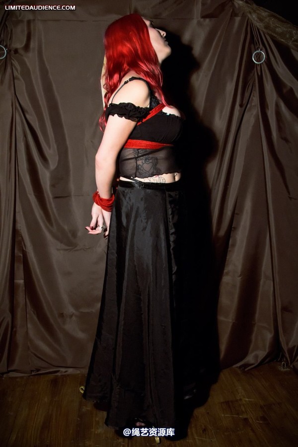 limitedaudience - 2011 elyssia bound to a pole 2 第 16 张图片