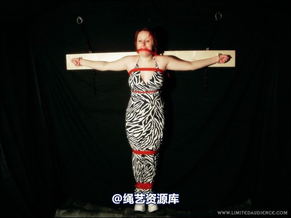 limitedaudience - 2007 erin chained animal 第 32 张图片