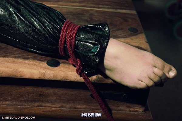limitedaudience - 2010 sammie b devour 第 27 张图片
