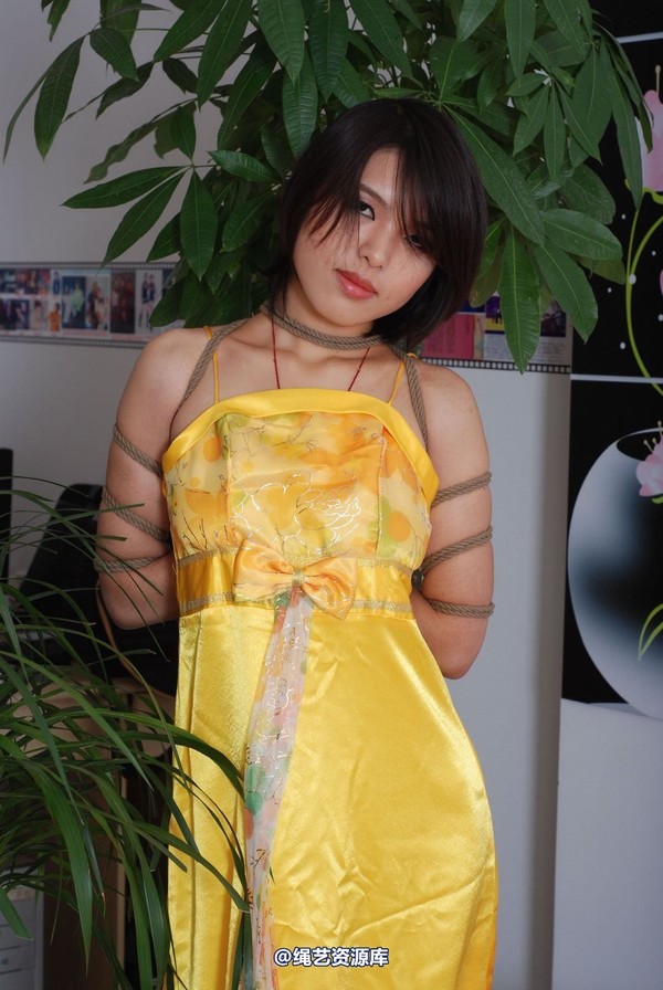 唯美之家 - 书兰-黄礼服 第 66 张图片