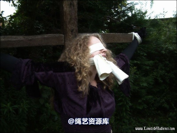 limitedaudience - 2007 ivy and the cross 第 70 张图片