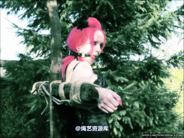 limitedaudience - 2007 assisted suicide up on the cross 第 33 张图片