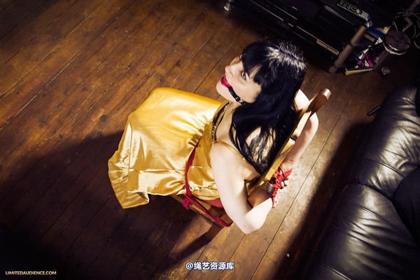 limitedaudience - 2013 dynamo golden satin 第 4 张图片